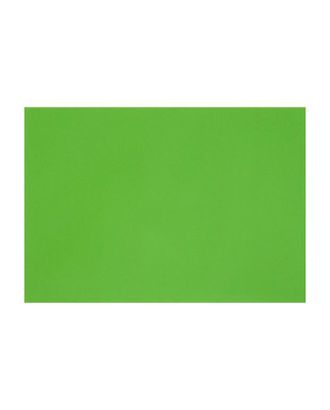 Картон цветной тонированный А3, 200 г/м2, зелёный арт. СМЛ-194936-1-СМЛ0006580653