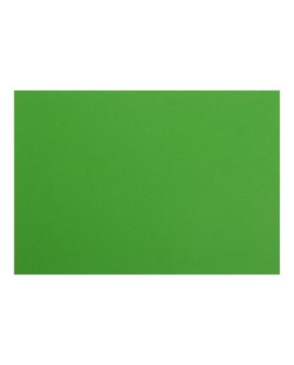 Картон цветной тонированный А4, 200 г/м2, зелёный арт. СМЛ-179378-1-СМЛ0006580658