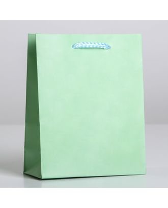 Пакет ламинированный «Зелёный», S 12 х 15 х 5,5 см арт. СМЛ-190330-1-СМЛ0006582782