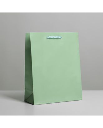 Пакет ламинированный «Зелёный», MS 18 х 23 х 8 см арт. СМЛ-165729-1-СМЛ0006582783