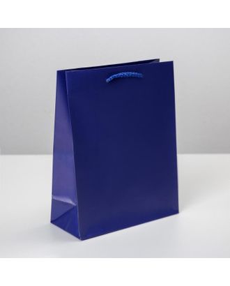 Пакет ламинированный «Синий», MS 18 х 23 х 8 см арт. СМЛ-162218-1-СМЛ0006582793