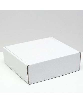 Коробка самосборная, белая, 24 х 23 х 8 см арт. СМЛ-156614-1-СМЛ0006914781