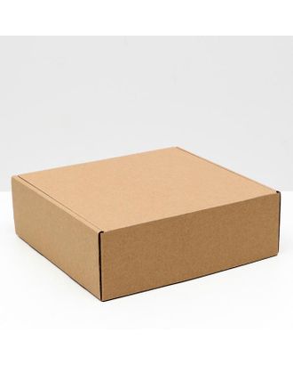 Коробка самосборная, крафт, 24 х 23 х 8 см арт. СМЛ-156619-1-СМЛ0006914786