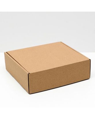 Коробка самосборная, крафт, 22,5 х 21 х 7 см арт. СМЛ-156620-1-СМЛ0006914787