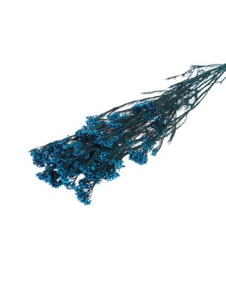 Купить Природный декор Сухоцвет "Озотамнус" 60 гр., цвет синий арт. СМЛ-171085-1-СМЛ0006972062 оптом в Череповце
