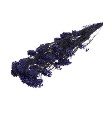 Купить Природный декор Сухоцвет "Озотамнус" 60 гр., цвет фиолетовый арт. СМЛ-171086-1-СМЛ0006972064 оптом в Череповце