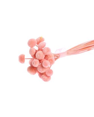 Купить Природный декор Сухоцвет "Батао" набор 20 шт, цвет розовый арт. СМЛ-171092-1-СМЛ0006972071 оптом в Череповце