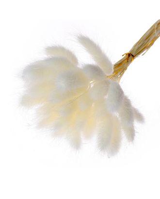 Сухие цветы лагуруса, набор 30 шт, цвет белый арт. СМЛ-216002-1-СМЛ0007123621