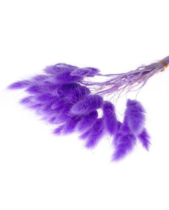 Сухие цветы лагуруса, набор 30 шт, цвет светло фиолетовый арт. СМЛ-216008-1-СМЛ0007123627