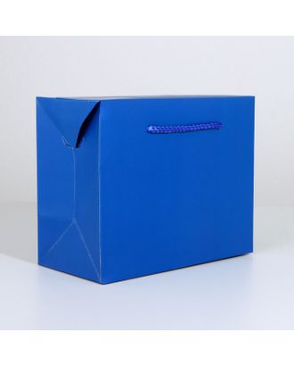 Пакет—коробка «Синий», 23 × 18 × 11 см арт. СМЛ-223300-1-СМЛ0007303850