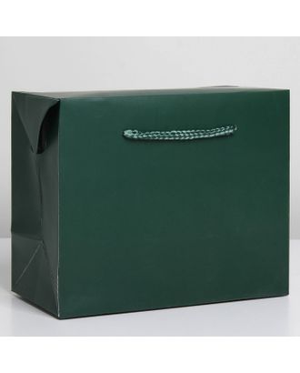 Пакет—коробка «Изумрудный», 23 × 18 × 11 см арт. СМЛ-222859-1-СМЛ0007303851