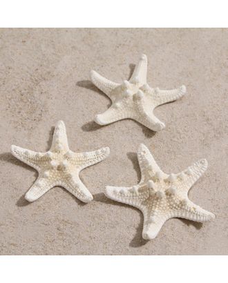 Набор из 3 морских звезд, размер каждой 5-10 см, белые арт. СМЛ-221842-1-СМЛ0007402199