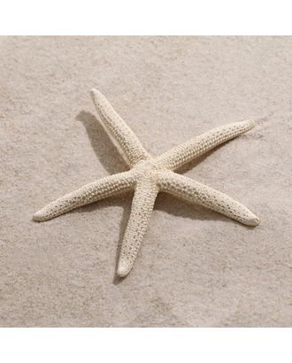 Морская звезда декоративная, 10-16 см арт. СМЛ-221844-1-СМЛ0007402201