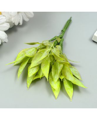 Искусственное растение для творчества "Рукус" 1 букет=6 веточек зелёный 13 см арт. СМЛ-222970-1-СМЛ0007445313