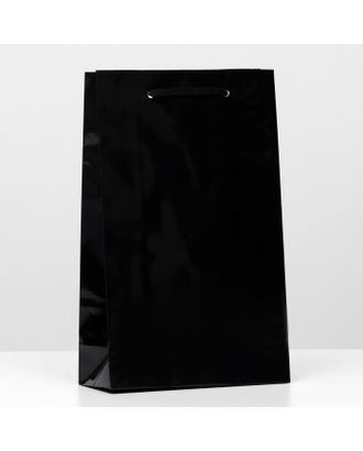 Пакет ламинированный, чёрный, 26,5 х 16,5 х 7 см, набор 12 шт. арт. СМЛ-216941-1-СМЛ0007674783