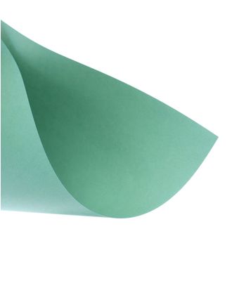 Картон цветной тонированный А4, 200 г/м2, зелёный арт. СМЛ-179378-1-СМЛ0006580658
