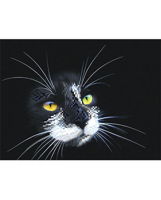 Ткань для вышивания бисером Черный кот, 39x27, Магия канвы