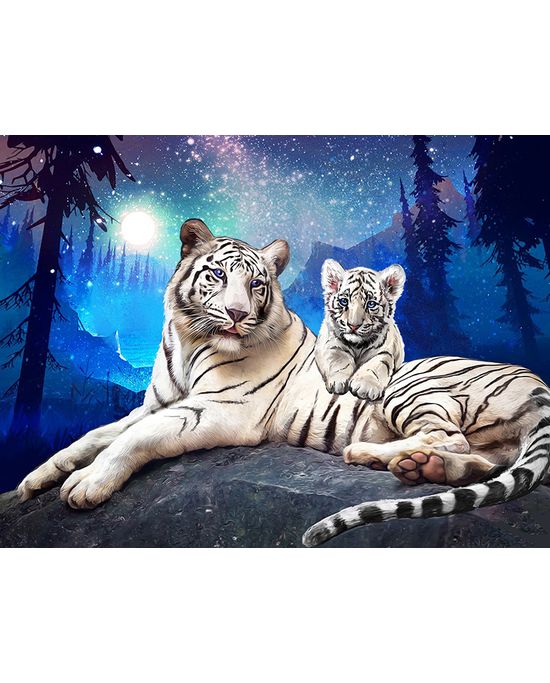 Картина стразами Тигры в ночи - Артикул - ГЕЛ0178143 - оптом купить в  Белгороде по недорогой цене в интернет-магазине Стартекс