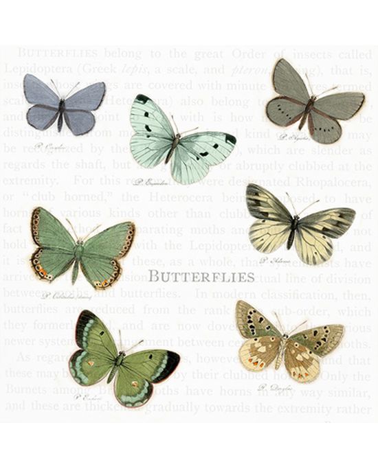 Бабочки из салфеток: оригинальный декор для дома своими руками — BurdaStyle.ru
