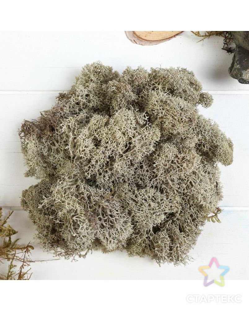 Купить Мох Для Декора