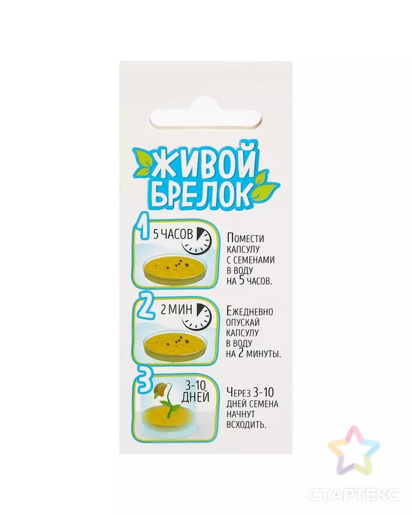 Живые Брелки Купить С Черепахой