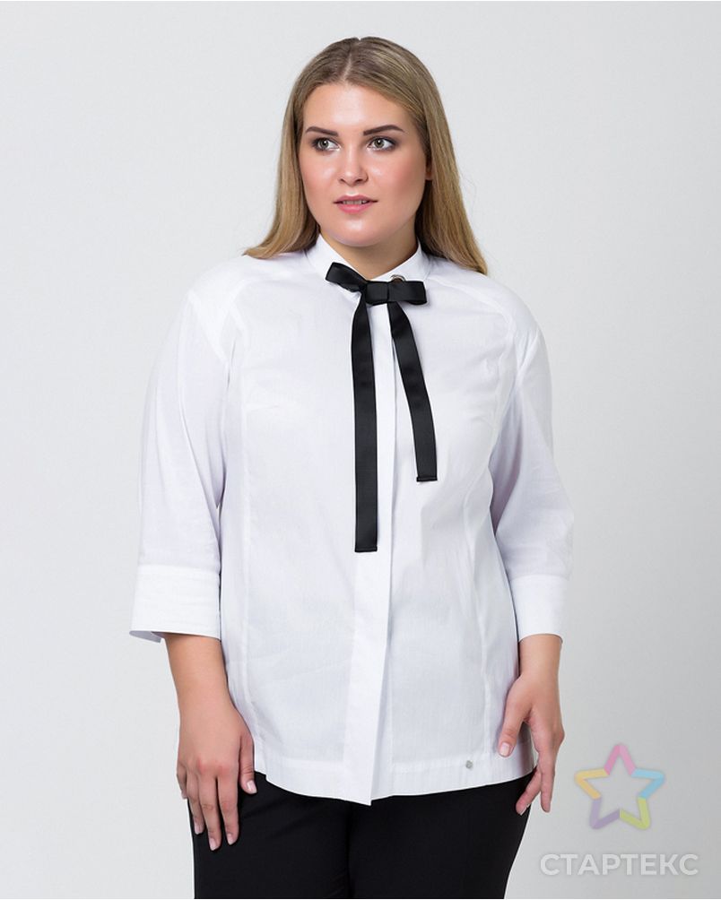 Заказать Выкройка: блузка № 454 арт. ВКК-2258-7-В00208 в Новосибирске