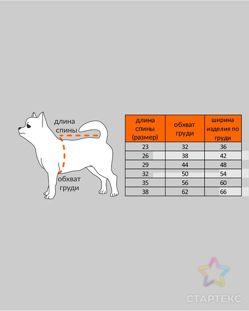 Выкройка: спортивный костюм (для мальчика) Р-11-1001 арт. ВКК-2683-14-ВП0445