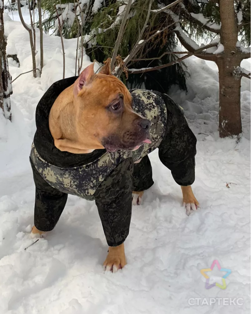 Выкройка: комбинезон (на мальчика) Р-30-1001 арт. ВКК-4123-16-ВП1017 - рис. 3