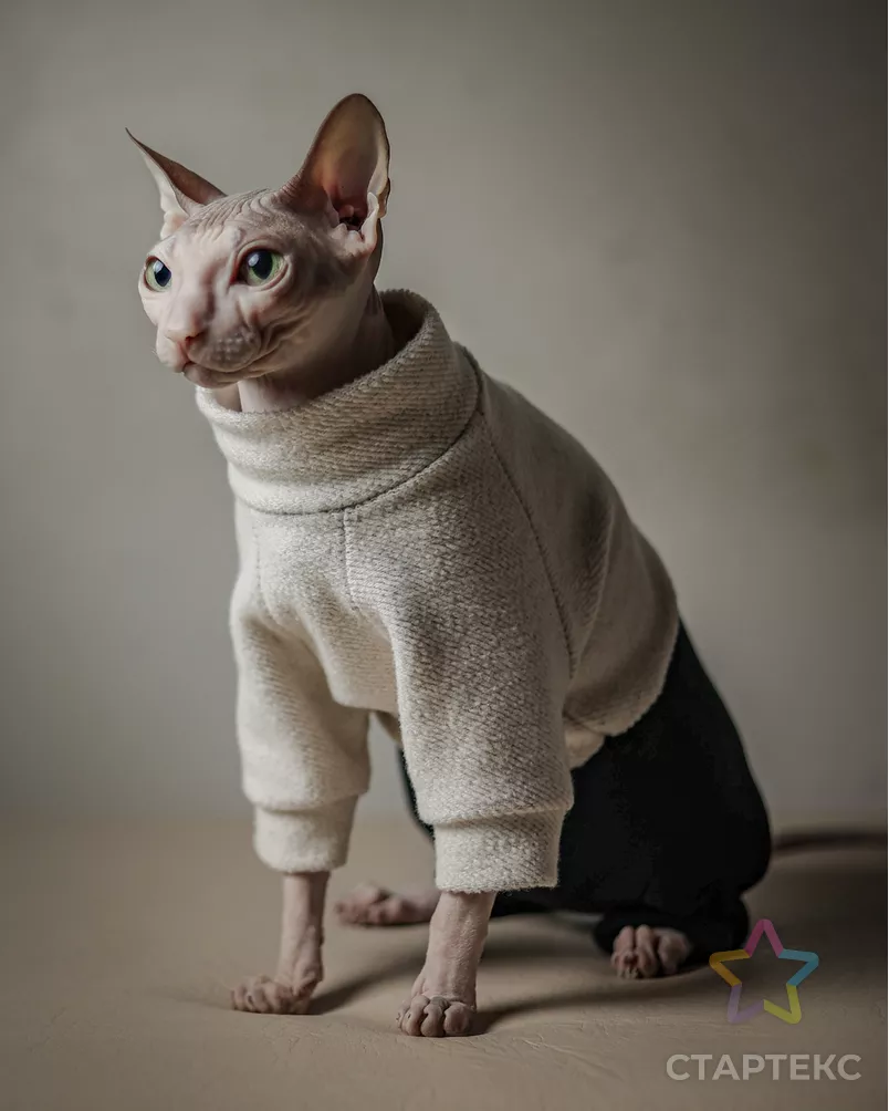 Выкройка: комбинезон CAT Р-27-1001 арт. ВКК-3001-7-ВП0677 - рис. 4