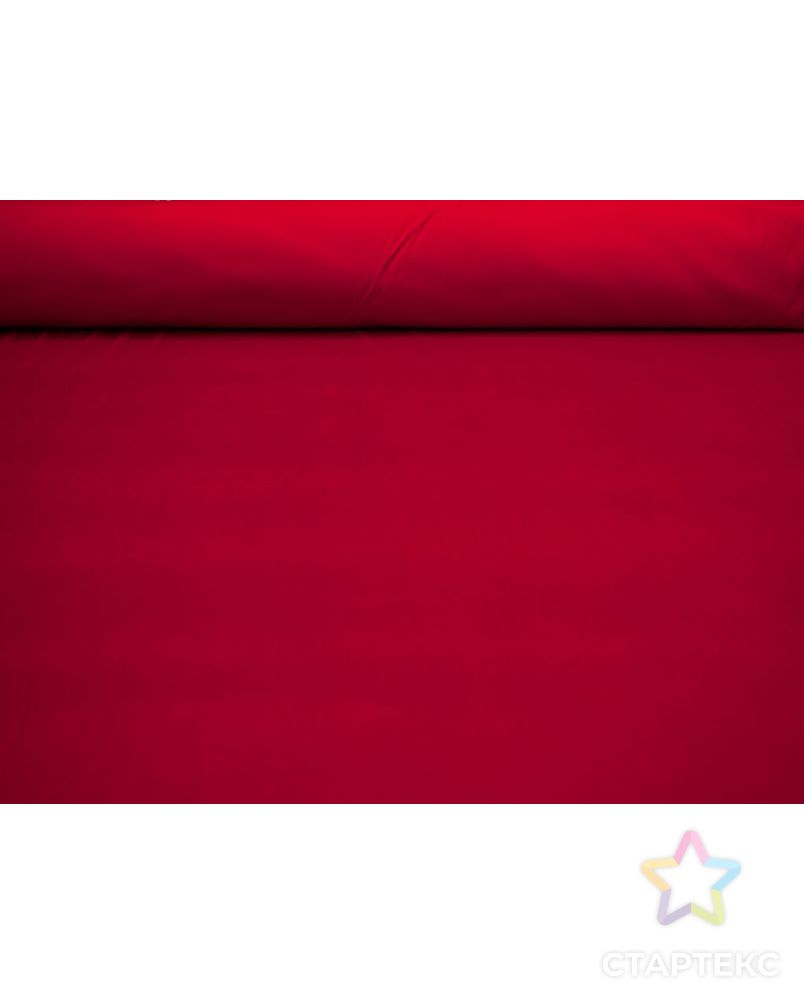 Королевский бархат, цвет красный арт. ГТ-8622-1-ГТ-2-10544-1-16-1 4