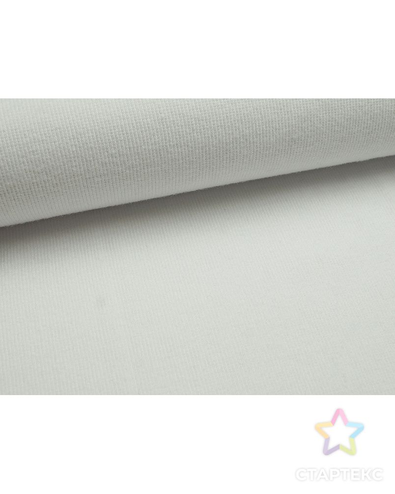 Белый в рубчик хлопковый трикотаж Рибана (270 г/м2) арт. ГТ-831-1-ГТ0025962 2