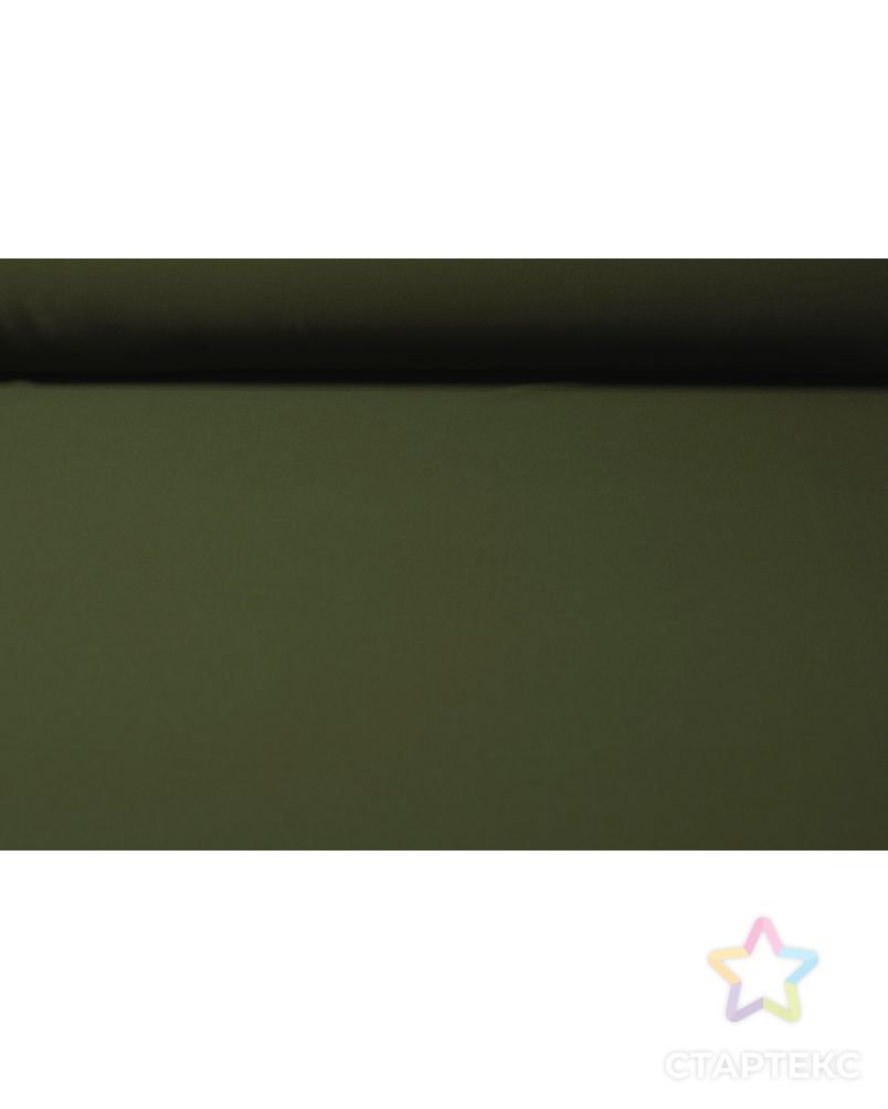 Двухсторонняя плательная ткань, цвет мха арт. ГТ-5800-1-ГТ-28-7564-1-10-1 4
