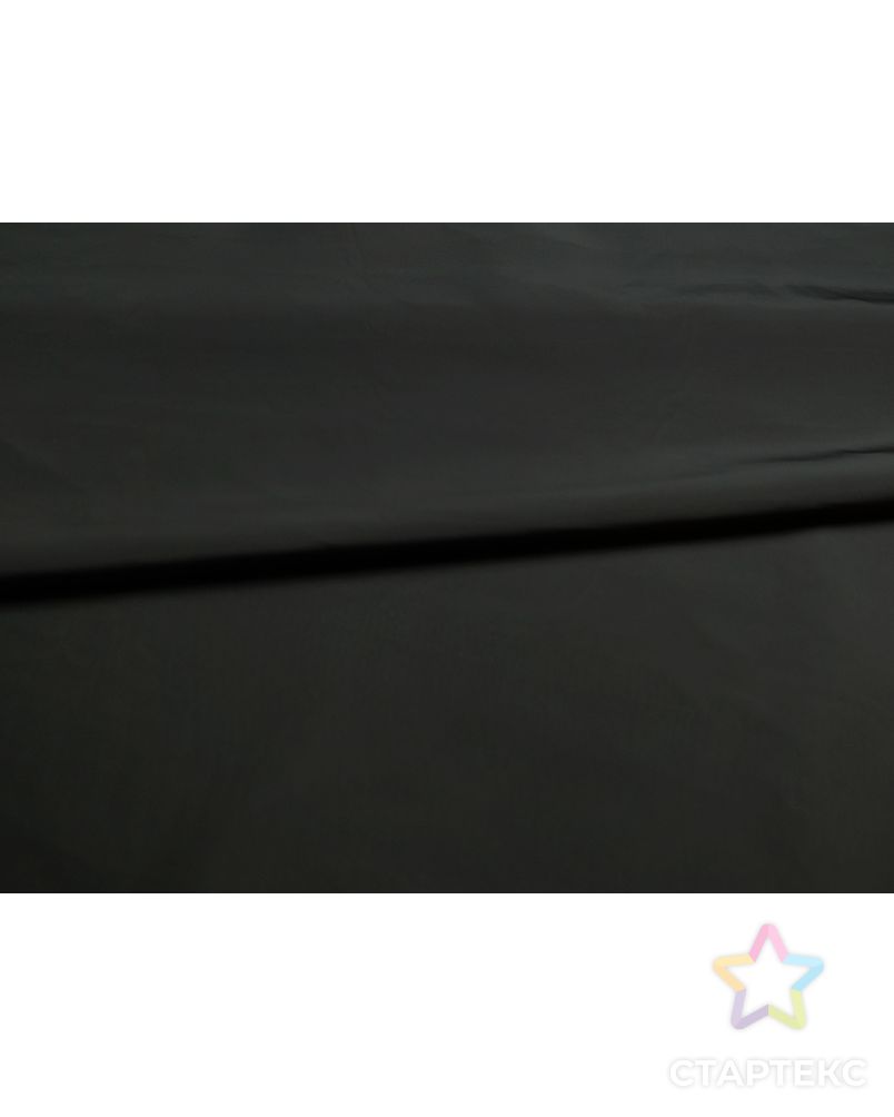 Плащевая ткань, цвет черный арт. ГТ-5210-1-ГТ-29-6901-1-38-1 3