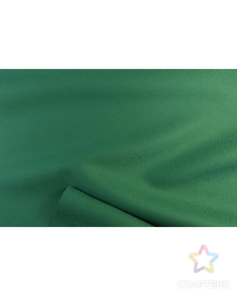 Ткань пальтовая, зеленый цвет Джели Бина арт. ГТ-1646-1-ГТ0045290 2