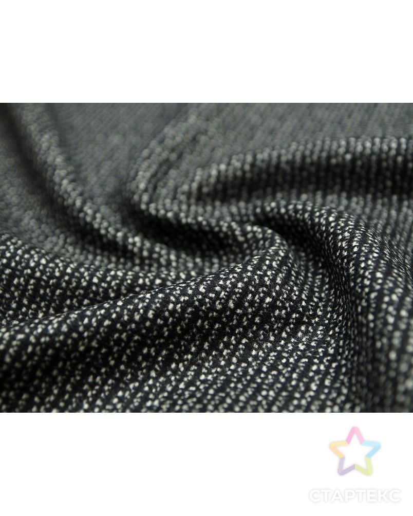 Двухсторонняя пальтовая ткань черно-белого цвета с меланжевым эффектом арт. ГТ-3264-1-ГТ0048005 1