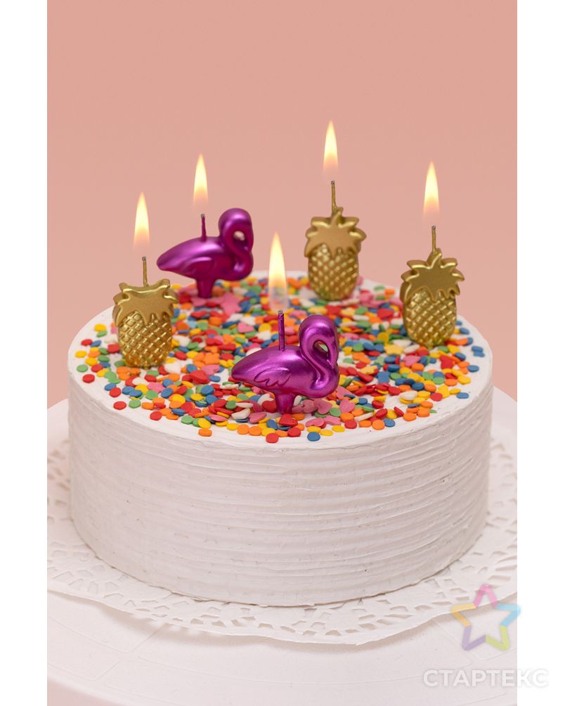 "BOOMZEE" Набор свечей для торта BCD-21 3.5 г 12 х 5 шт. арт. ГММ-114728-1-ГММ107682333304 1