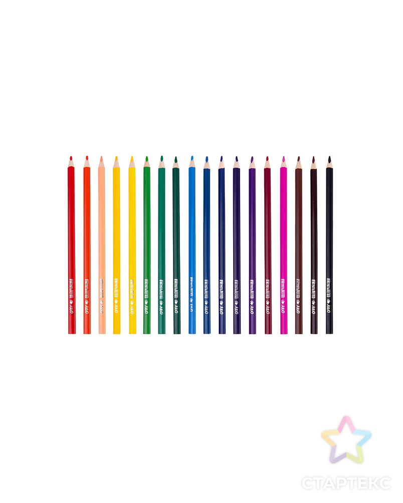 "Лео" "Играй" Набор цветных трехгранных карандашей в тубусе LGTCP-18 заточенный 2 х 18 цв. арт. ГММ-116575-1-ГММ118193415344 5