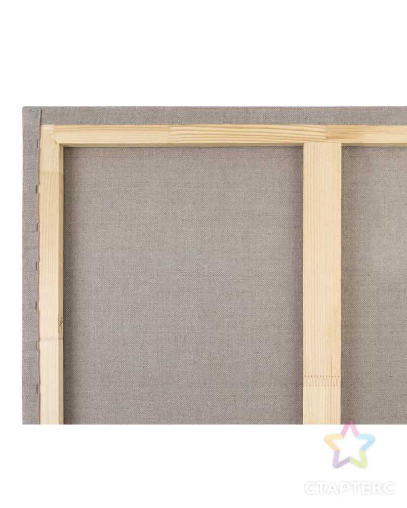 Холст грунтованный на подрамнике "VISTA-ARTISTA" PLMG-7080 100% лён 70 х 80 см 390 г/кв.м 2 шт арт. ГММ-117019-1-ГММ073084514824 - рис. 4