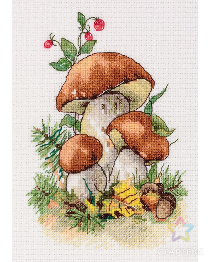 "Klart" набор для вышивания 8-516 "Белые грибы" арт. ГММ-114151-1-ГММ085637303684 2