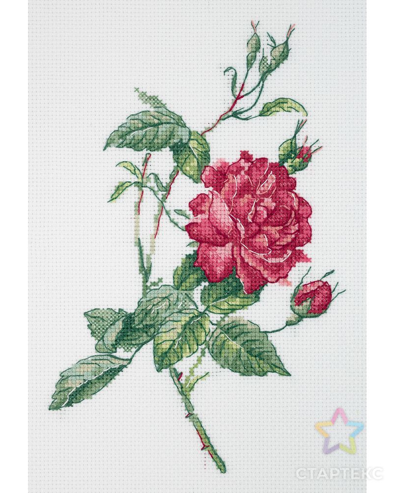 "Klart" набор для вышивания 8-531 "Ботаника. Роза" арт. ГММ-114364-1-ГММ096225483294 1