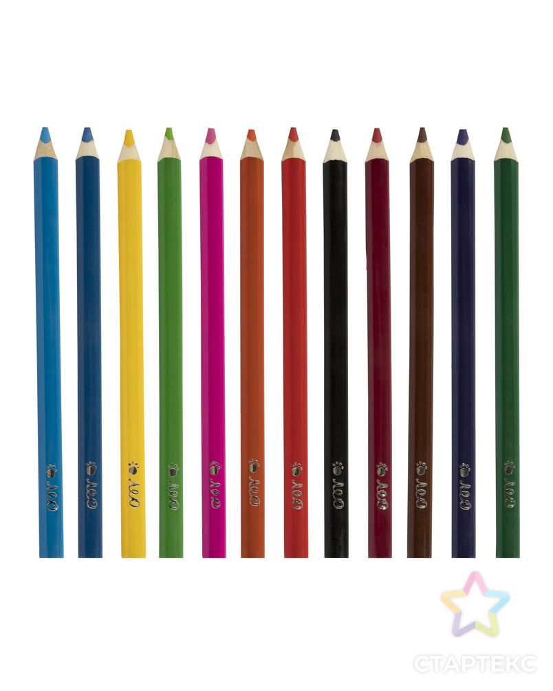 "Лео" "Расти" Набор цветных шестигранные карандашей джамбо LGHPJ-12 заточенный 6 х 12 цв. арт. ГММ-114816-1-ГММ115889526934 1