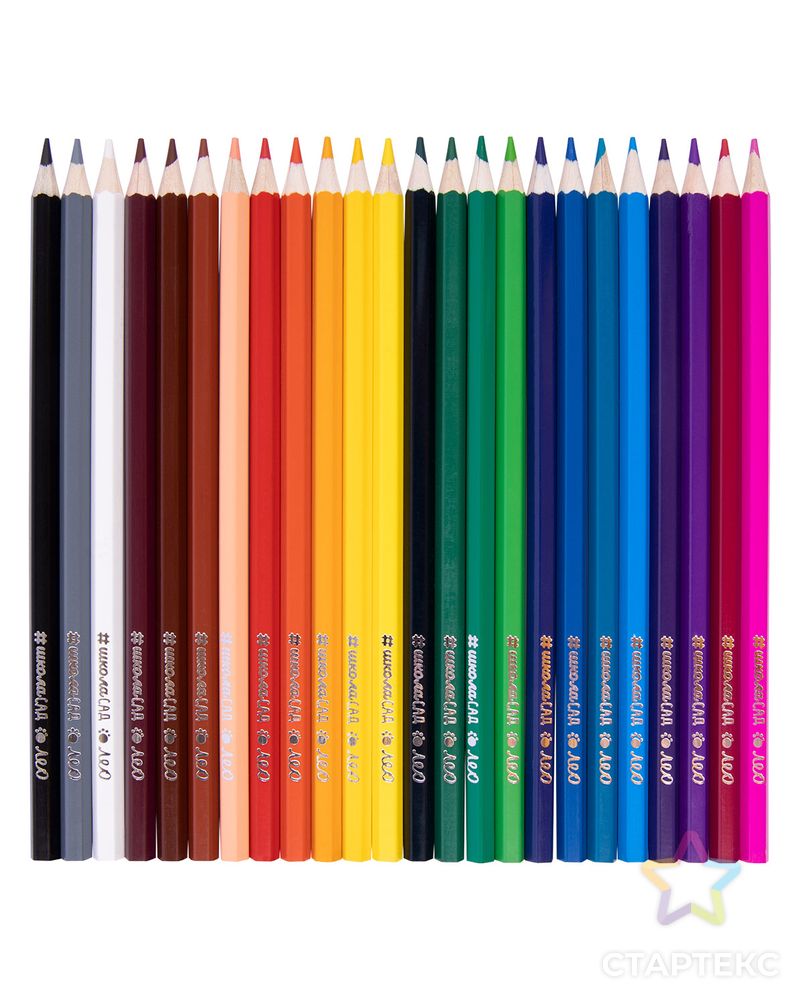 "Лео" "Учись" LCPN-24 Набор цветных карандашей заточенный 2 х 24 цв. арт. ГММ-110179-1-ГММ086612897604