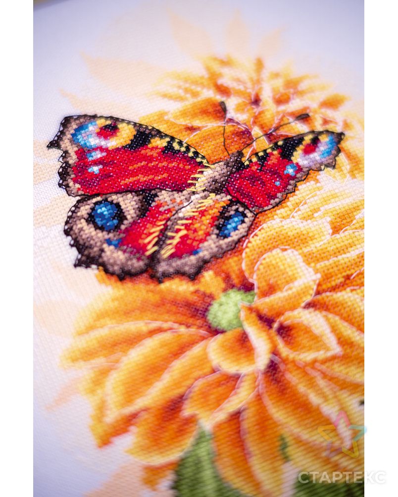 Набор для вышивания "LANARTE" PN-0190703 "Порхающая бабочка" арт. ГММ-112111-1-ГММ088502025014 2