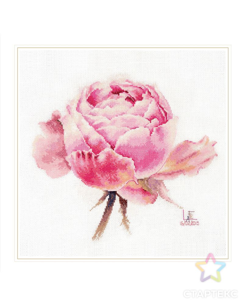Набор для вышивания "Алиса" 2-53 Акварельные розы. "Розовая изысканная" арт. ГММ-110456-1-ГММ091427026974 1