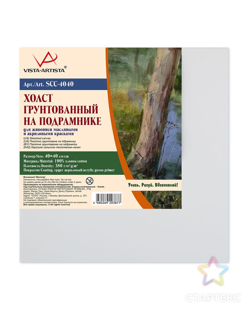 Холст грунтованный на подрамнике "VISTA-ARTISTA" SCC-4040 100% хлопок 40 х 40 см 380 г/кв.м 2 шт арт. ГММ-3593-1-ГММ0071865