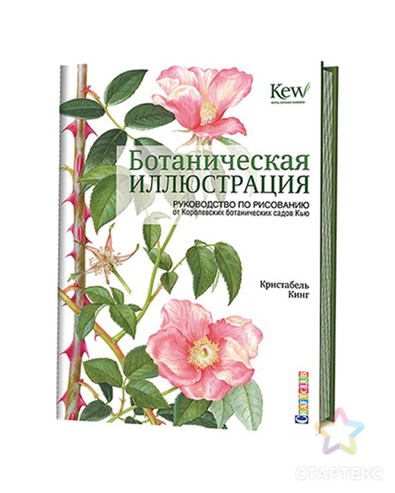 Книга КР "Ботаническая иллюстрация: руководство по рисованию" арт. ГММ-8909-1-ГММ0082360 2