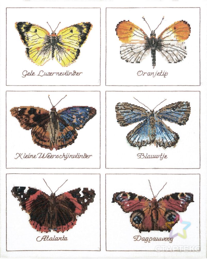 Набор для вышивания "Thea Gouverneur" 2037 "Бабочки" арт. ГММ-101020-1-ГММ075667125324