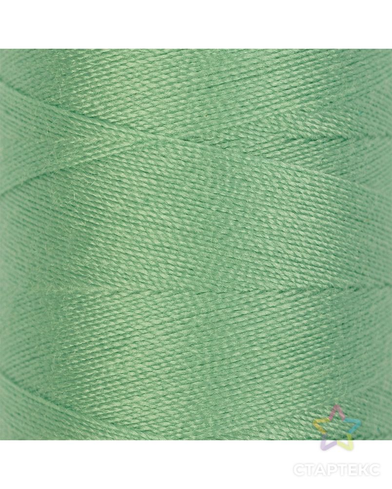 Швейные нитки (полиэстер) 50/2 "Nitka" (201-300), 4570м арт. ГММ-906-14-ГММ0009728 1