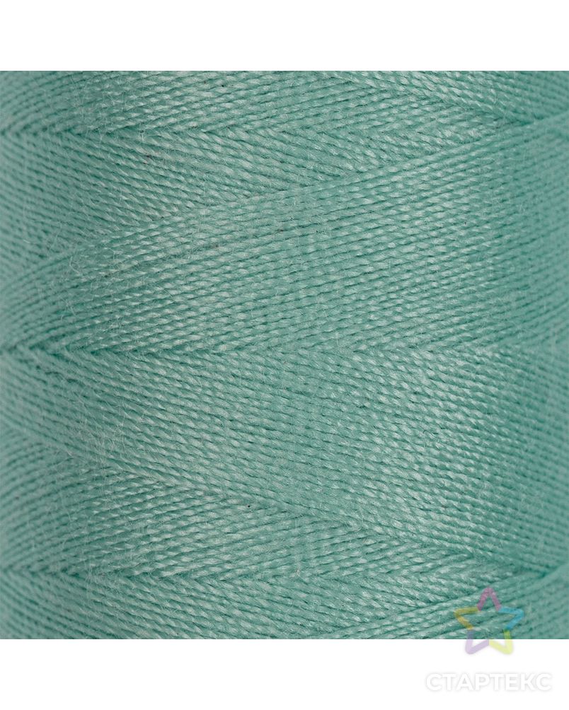 Швейные нитки (полиэстер) 50/2 (201-300), 4570м арт. ГММ-954-2-ГММ0009739 1