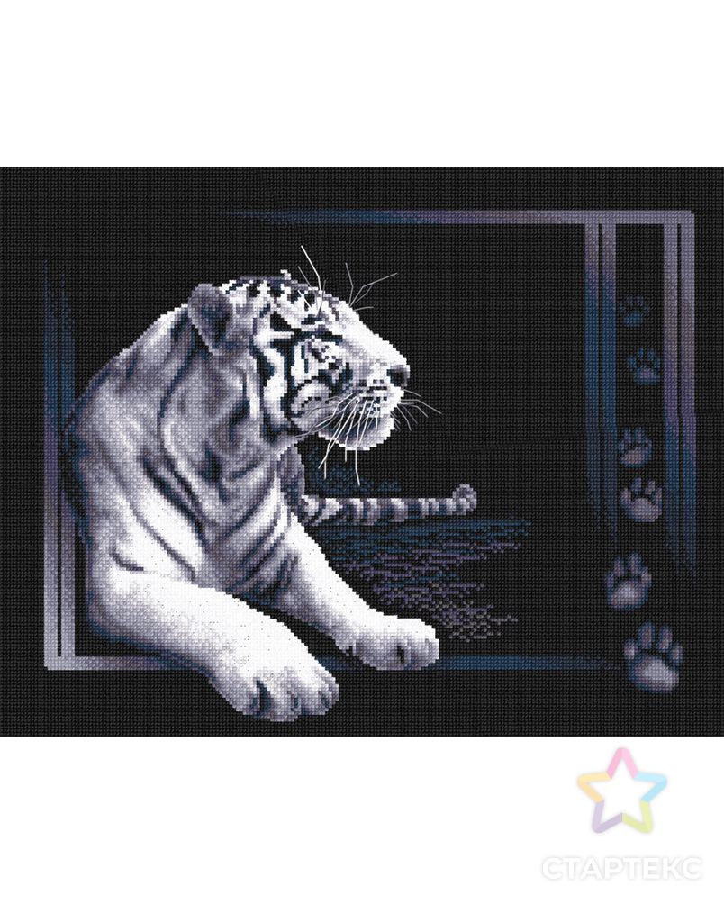 Набор для вышивания "PANNA" J-0277 ( Ж-0277 ) "Белый тигр" арт. ГММ-101497-1-ГММ001274947272 1